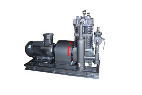 Gas Compressor Plant Diaphragm Air Compressors Cng Piston Compressor