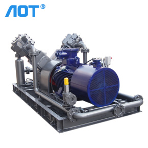 Industrial CH4 Compressor Machine Compression for Biogas Transmission