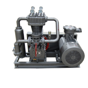 LPG biogas compressor booster compressor  industry